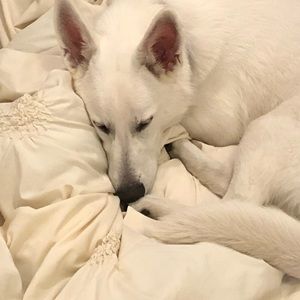 Meet your Posher, Maria